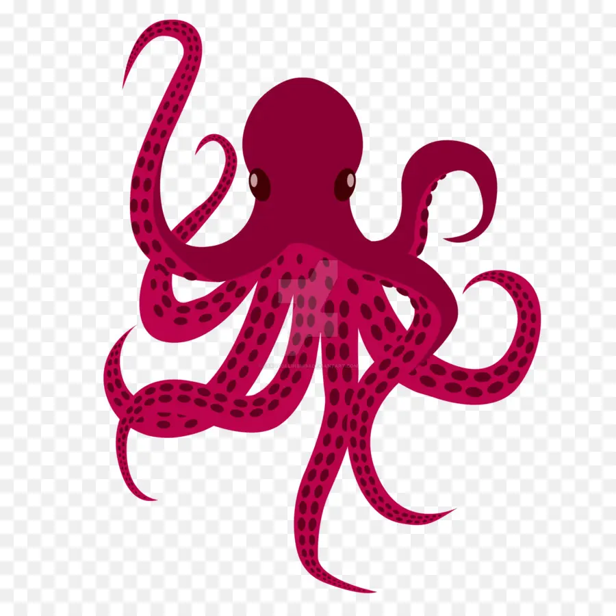 Pulpo，Camiseta PNG