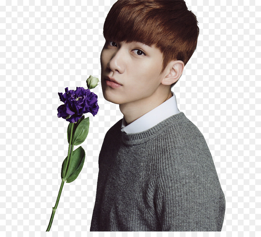 Hyuk，Vixx PNG