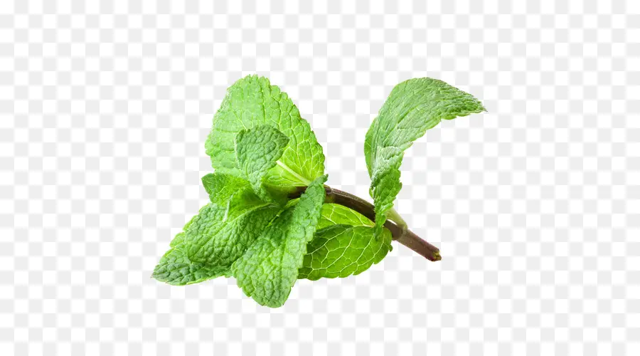 Menta，Dulce Con Aroma De Geranio PNG