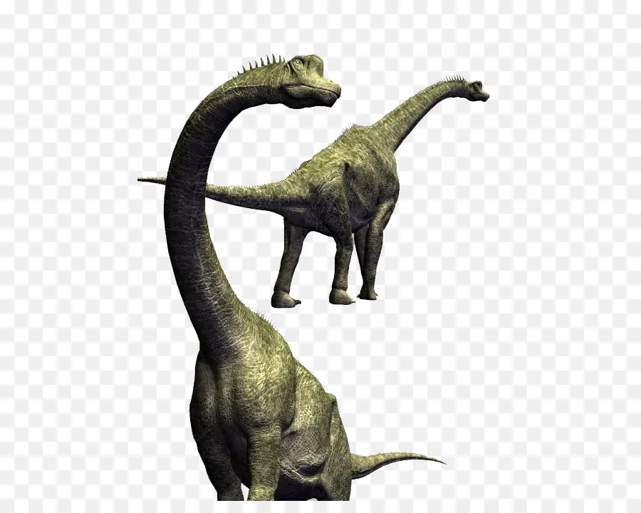 Brachiosaurus，Velociraptor PNG