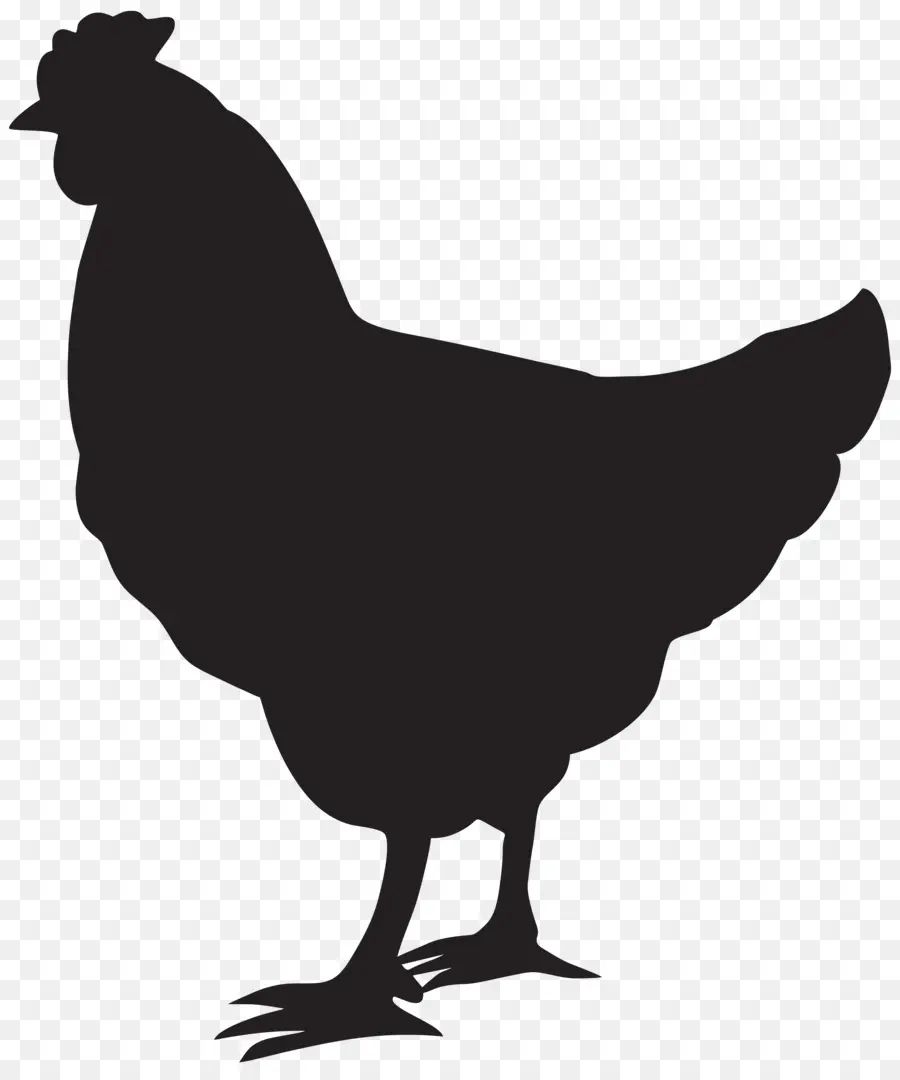 Ayam Cemani，Silueta PNG