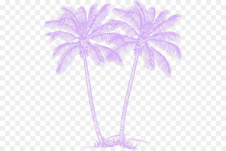 Palmera，Hojas PNG