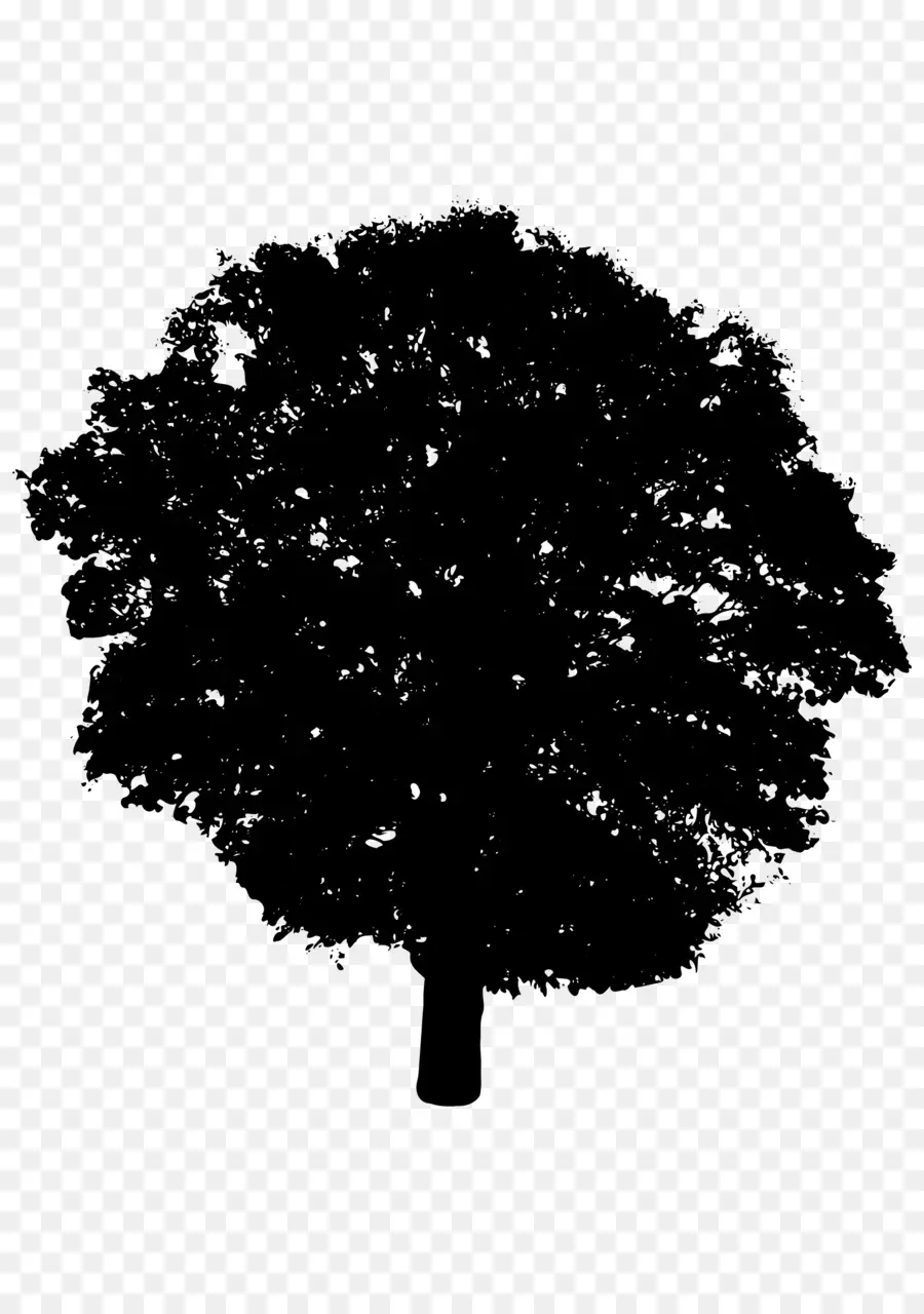 Silueta De árbol Negro，Naturaleza PNG