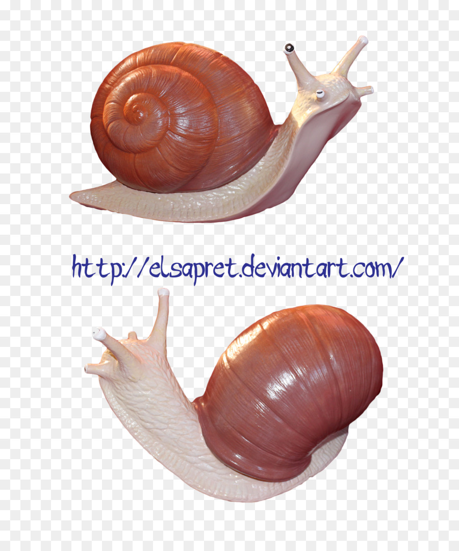 Caracol，Deviantart PNG