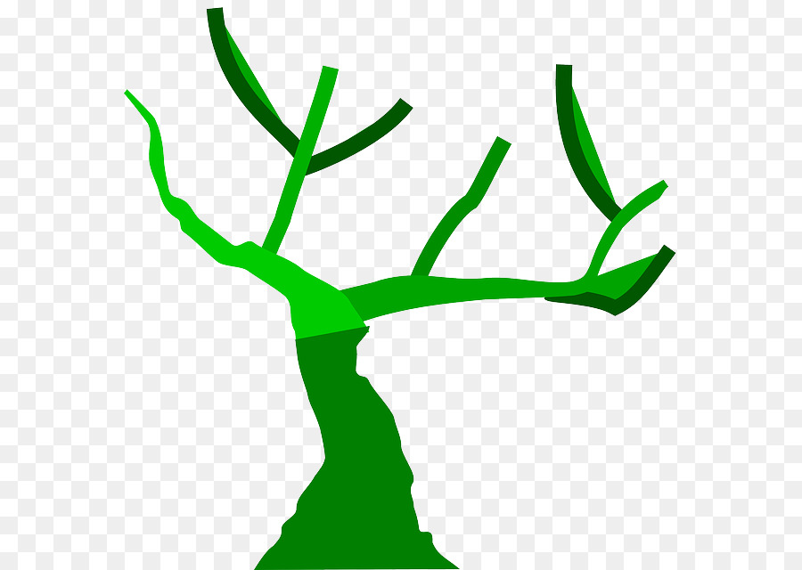 árbol，Tronco PNG