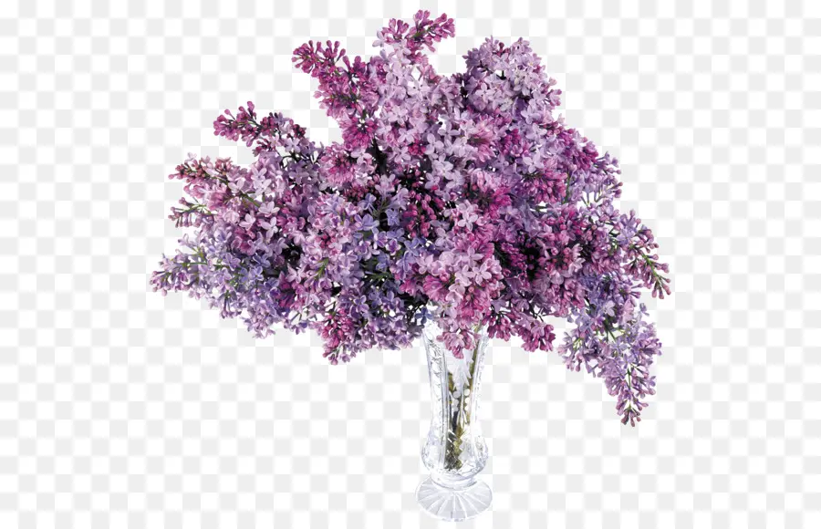 Flores Lilas，Florero PNG