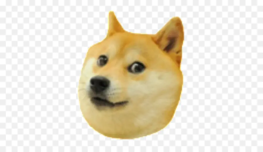 Shiba Inu，2048 PNG