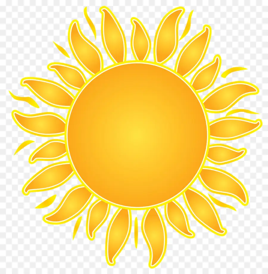 Girasol，Amarillo PNG