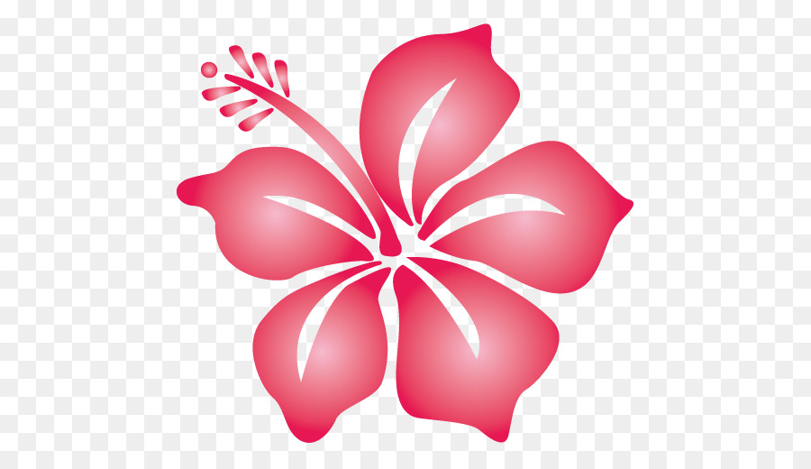 Hibisco，Rojo PNG