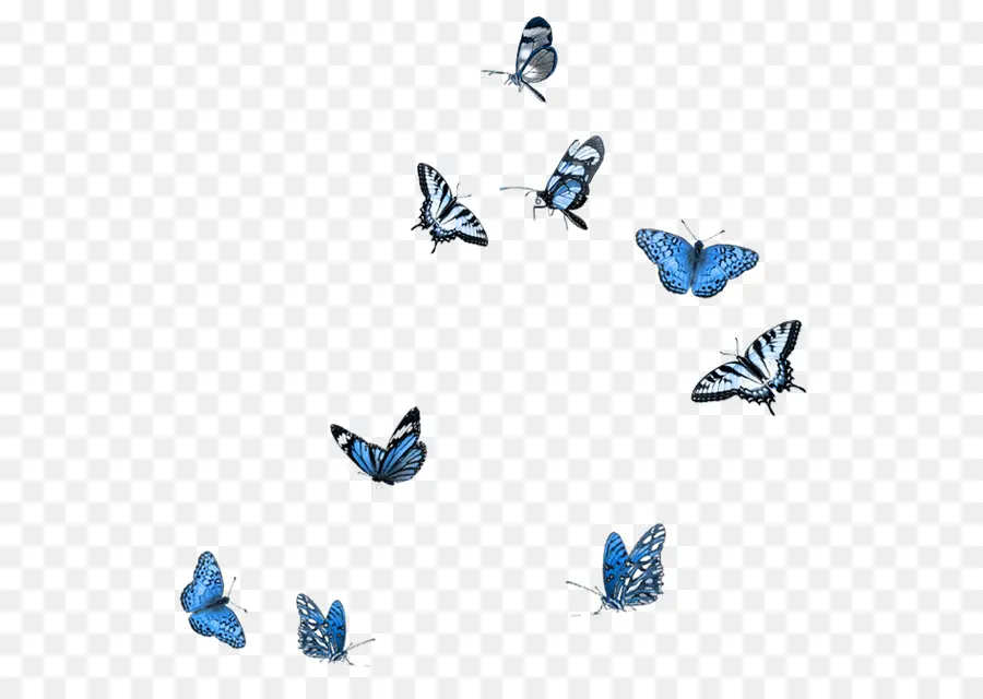 Mariposas Azules，Vuelo PNG