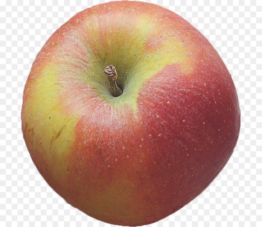 Nueva Inglaterra，Manzana PNG