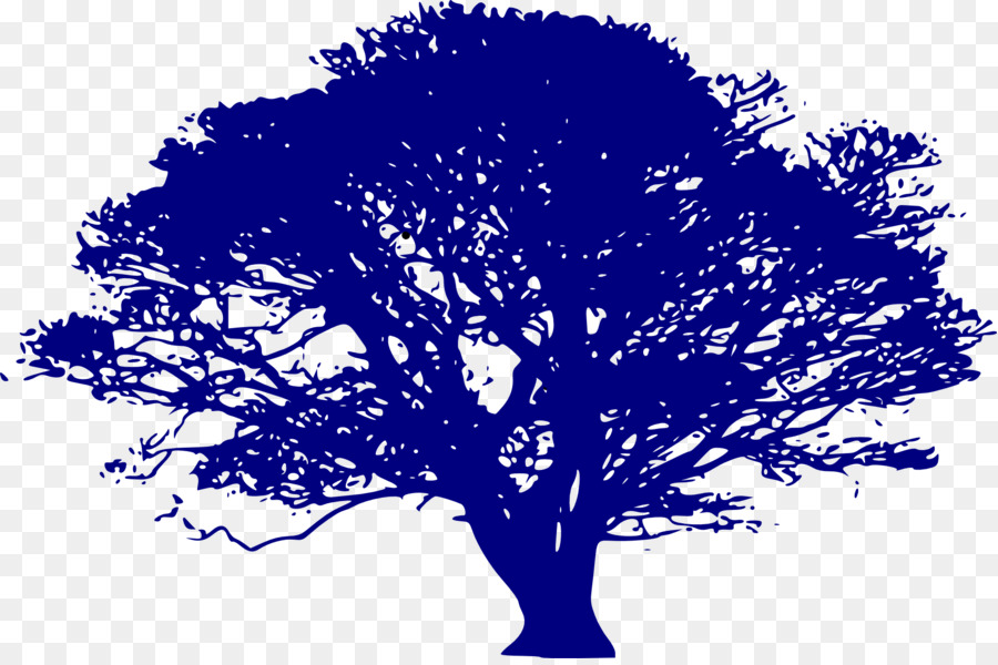 Silueta De Arbol，árbol PNG