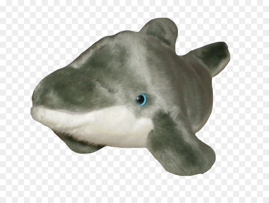 Tiburón，Poco Pescado PNG