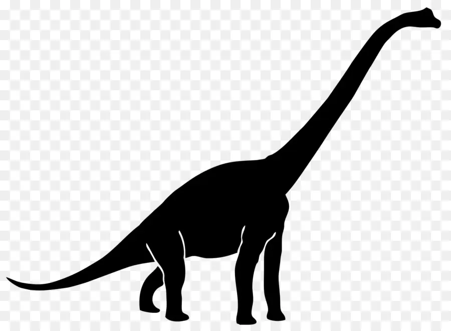 Diplodocus，Brachiosaurus PNG