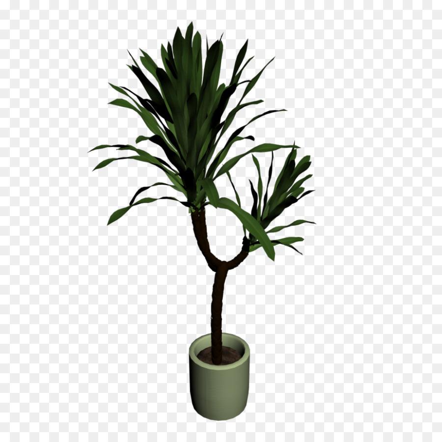 Planta，Árbol PNG