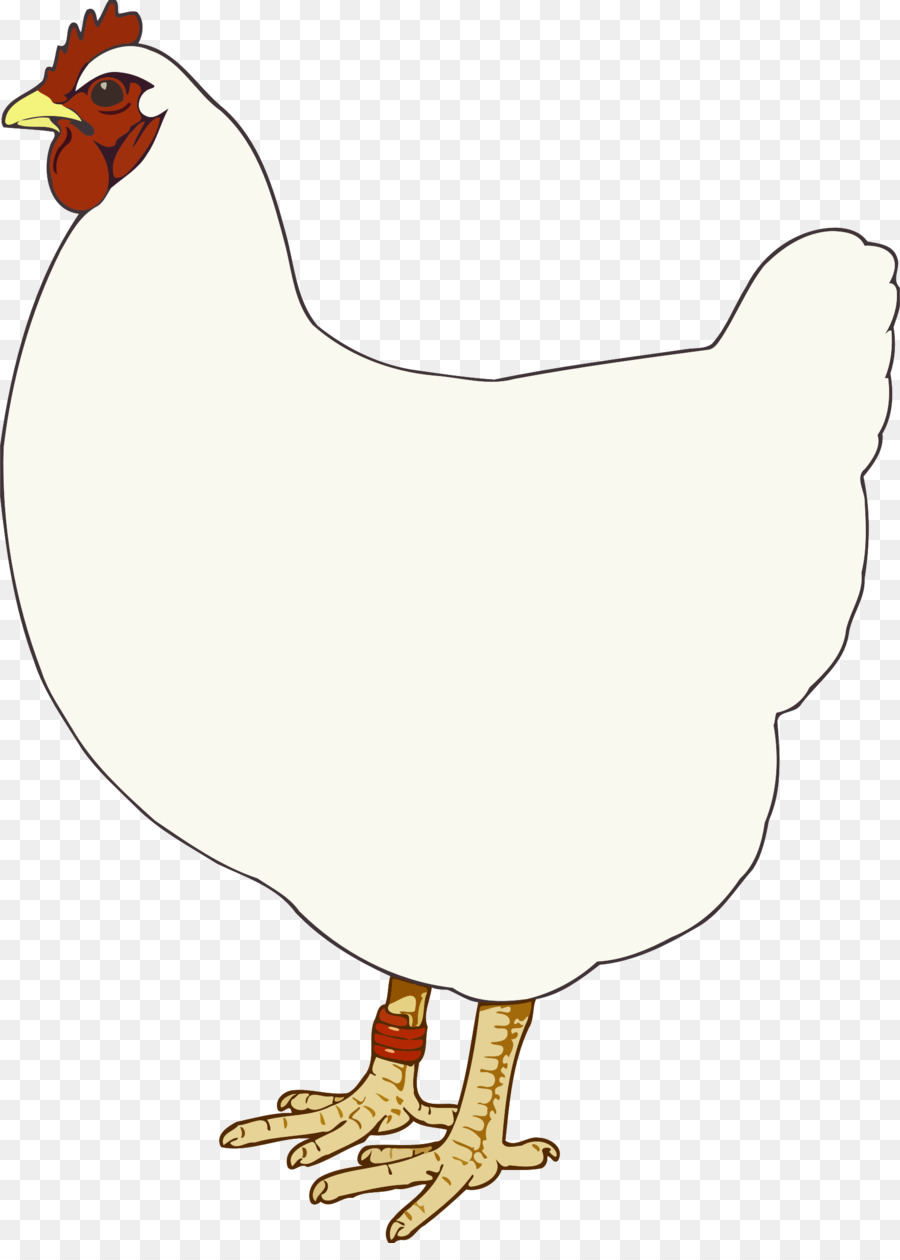 Gallo，Pollo PNG