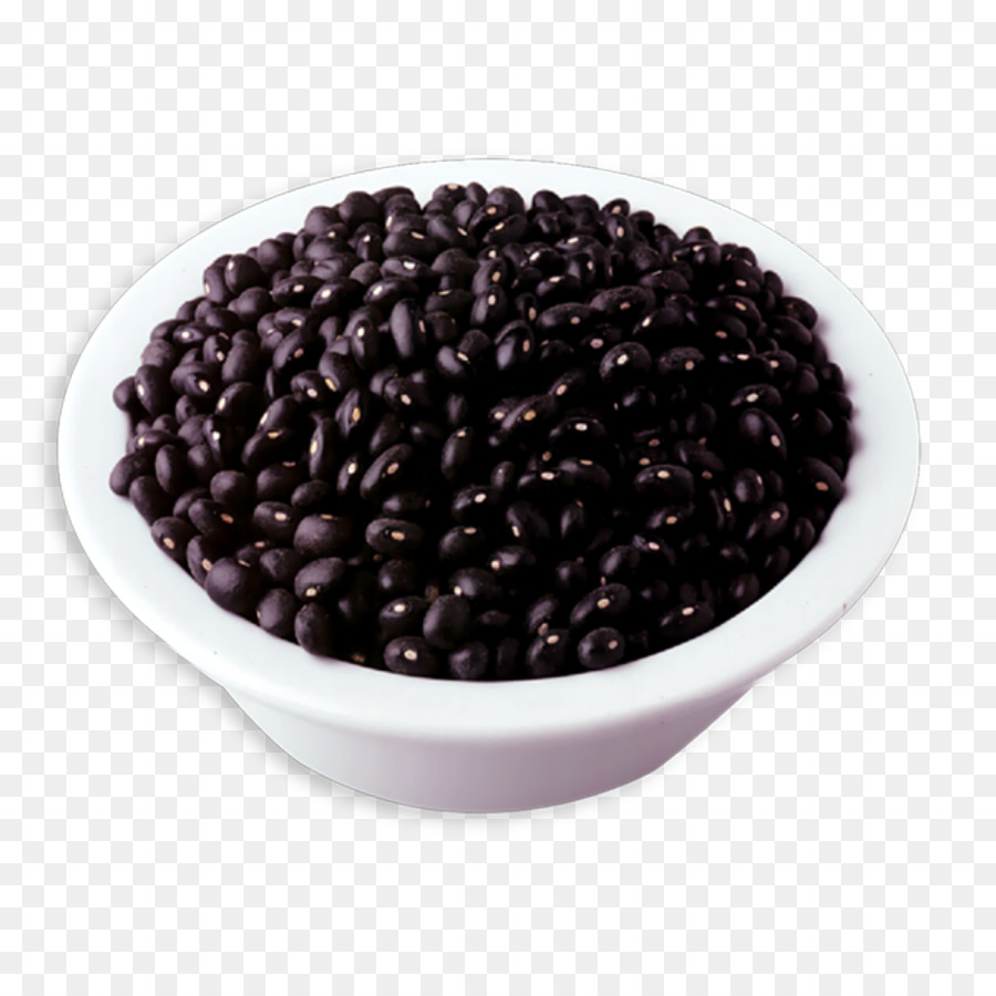 Tortuga Negra Bean，Bean PNG