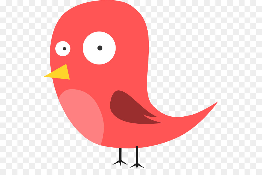 Pájaro，Rojo PNG