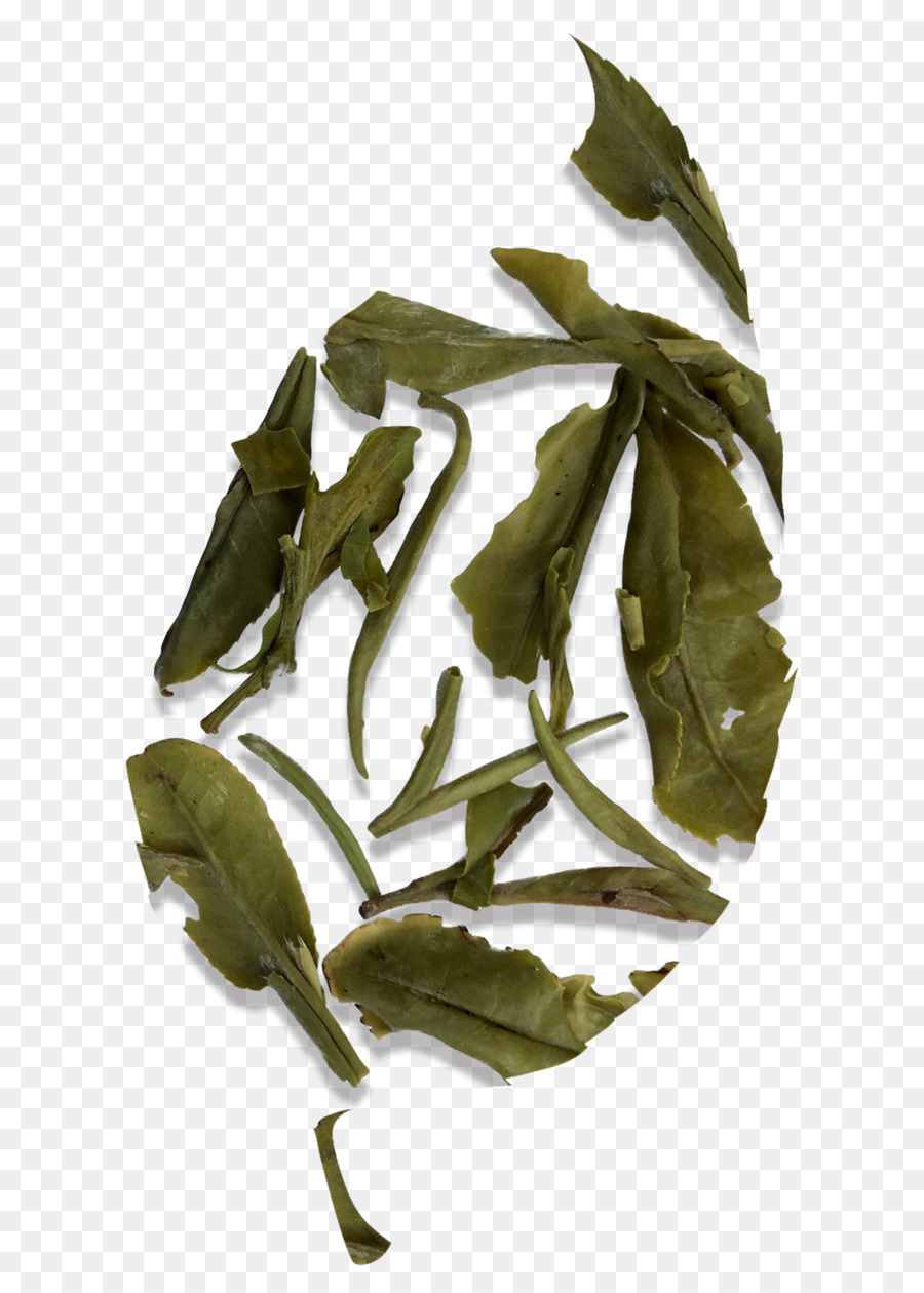 Té，Fujian PNG