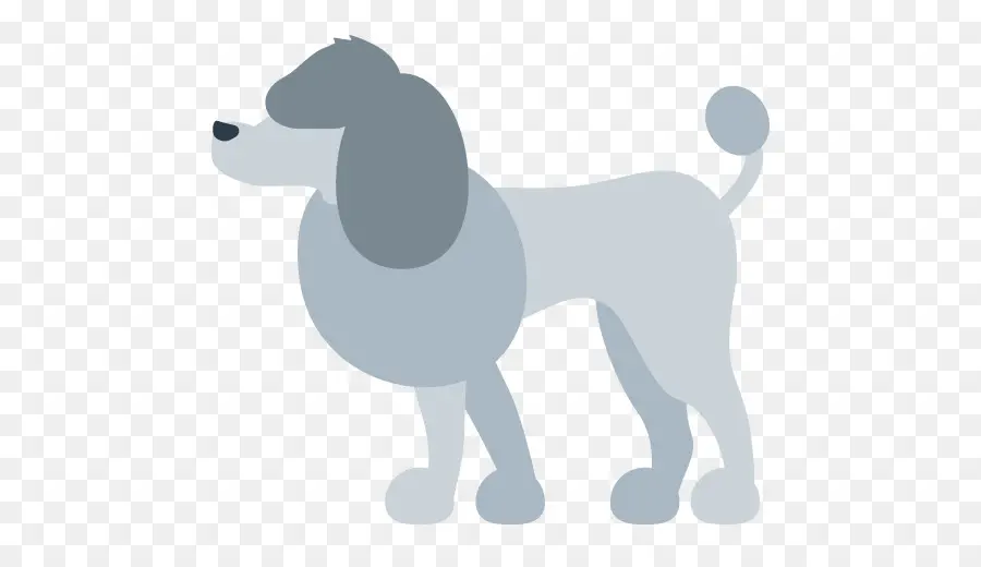 Caniche Gris，Perro PNG