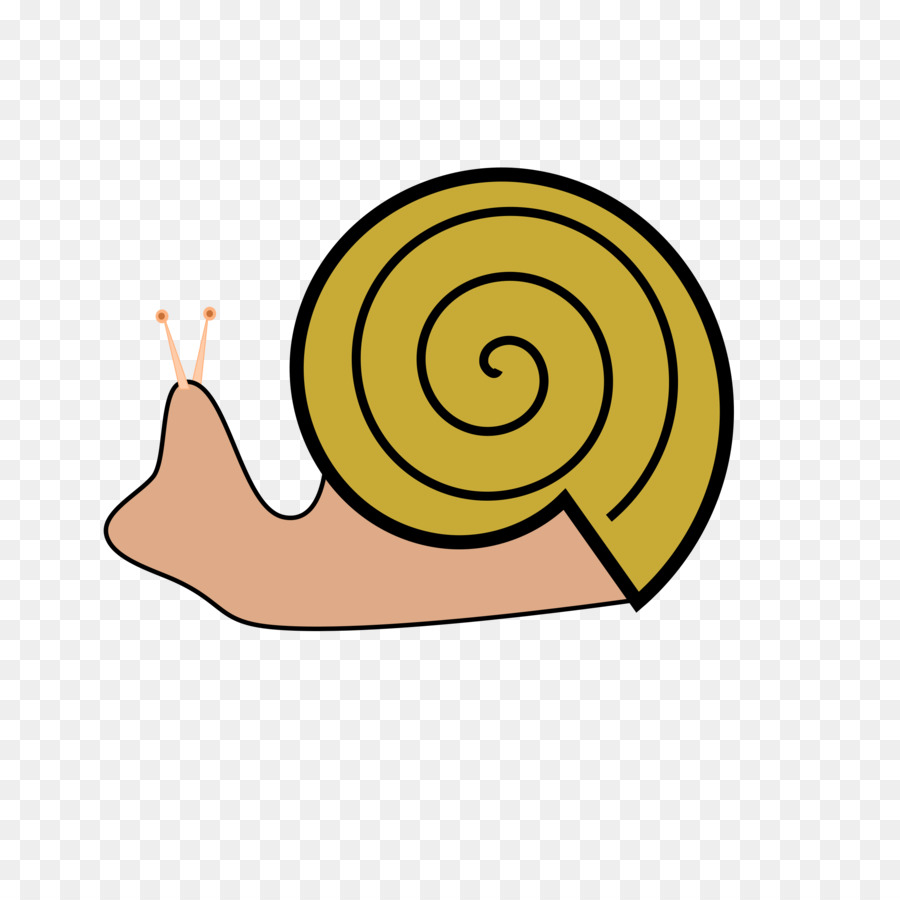 Caracol，Caracol De Mar PNG