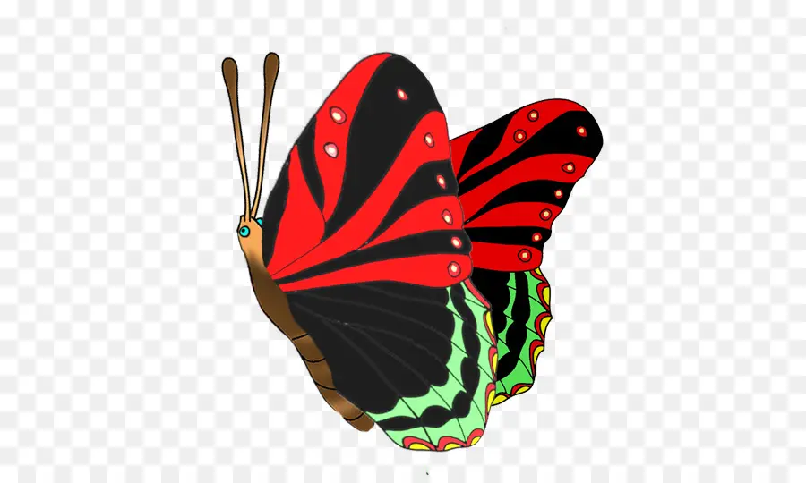 Mariposa，Los Insectos PNG