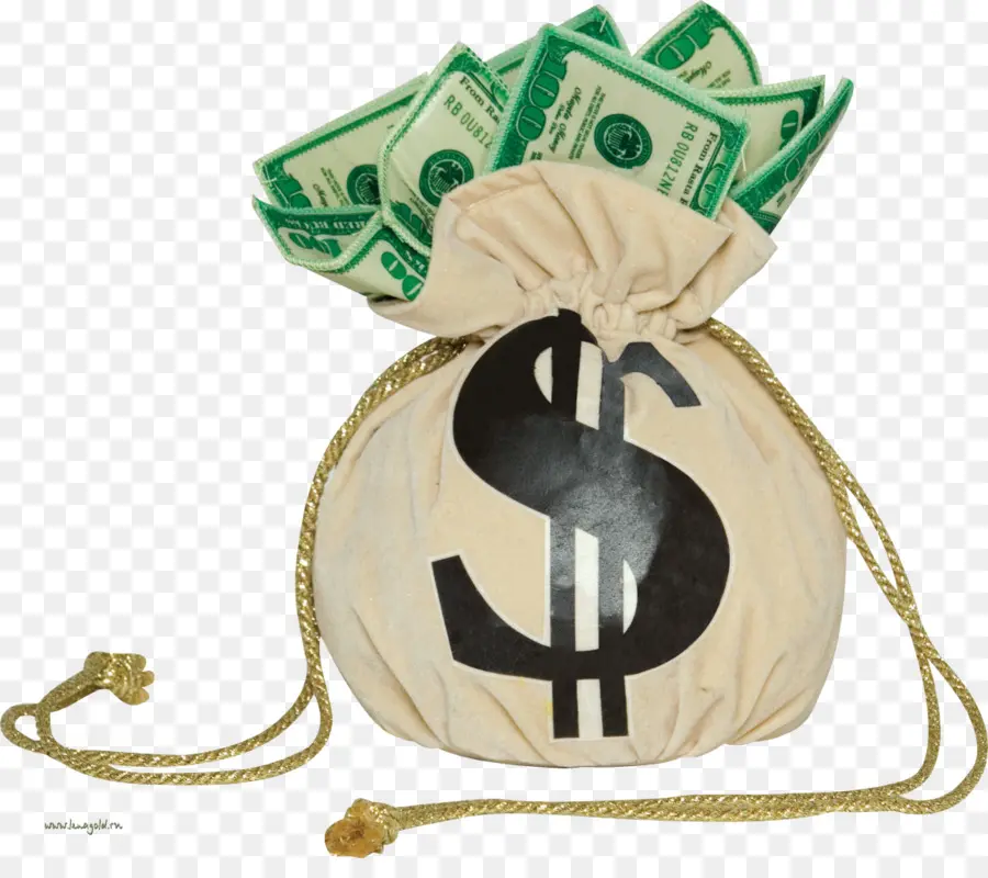 Bolsa De Dinero，Dinero PNG