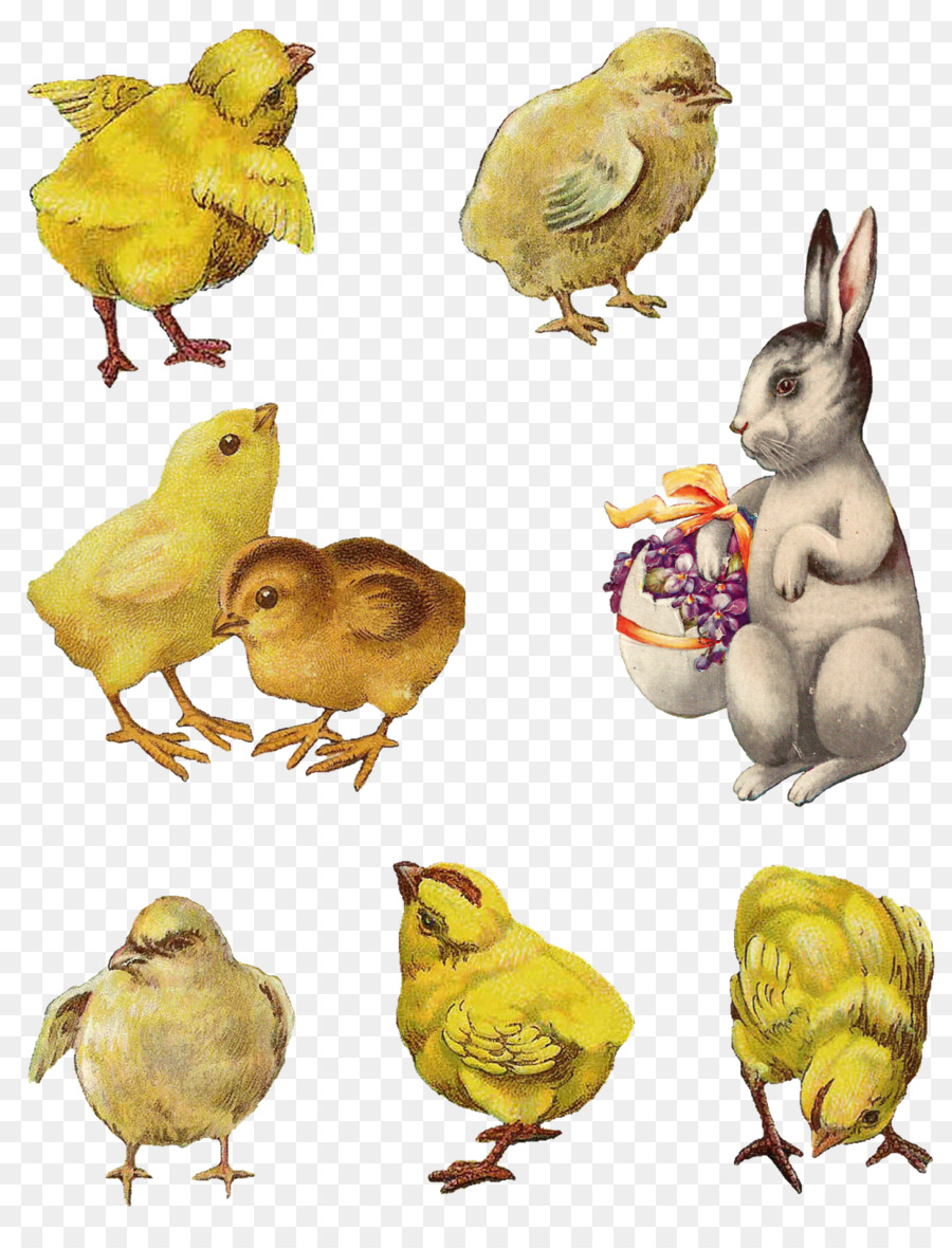 Pascua，Collage PNG