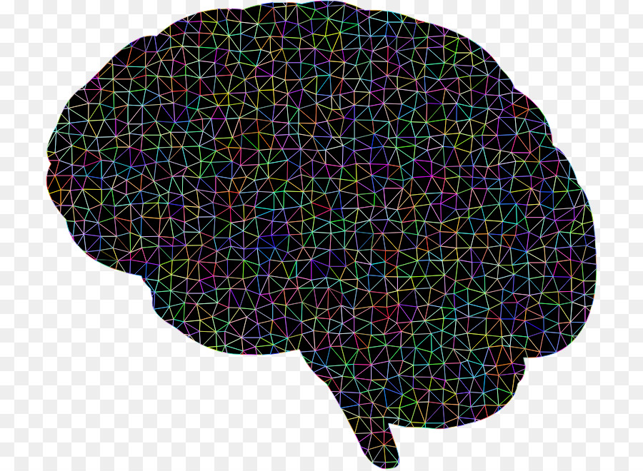 Cerebro，Polígono PNG