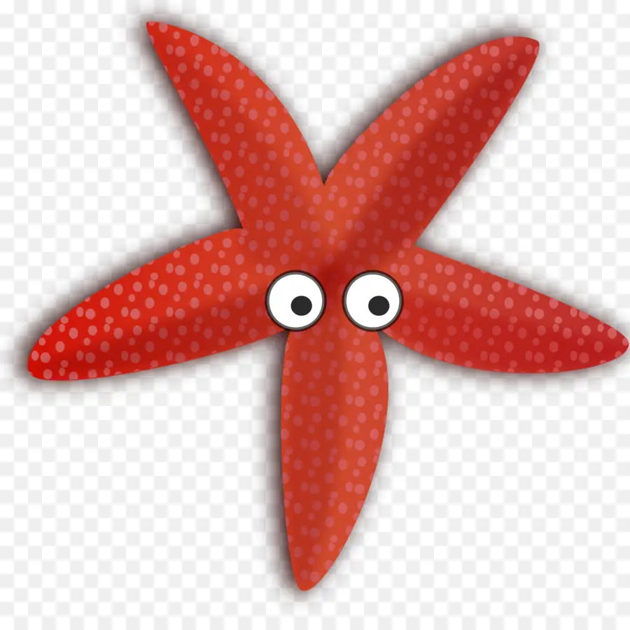 Estrella De Mar，Dibujos Animados PNG