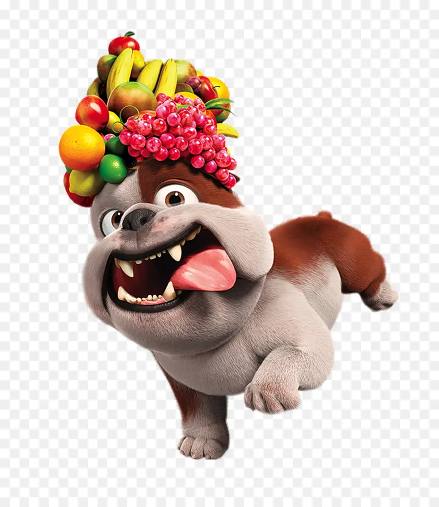 Buldog，Sombrero De Frutas PNG