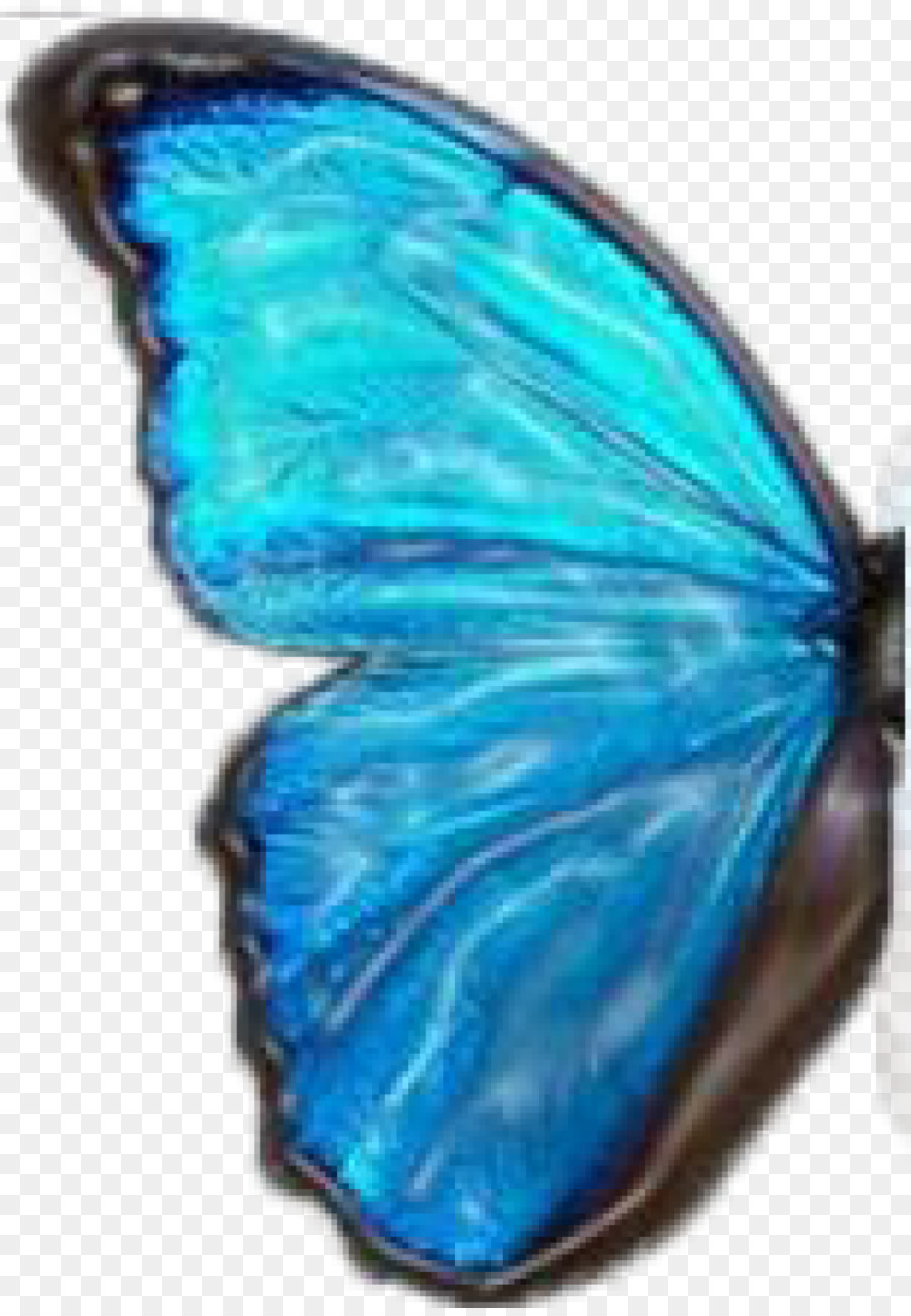 Mariposa Azul，Alas PNG