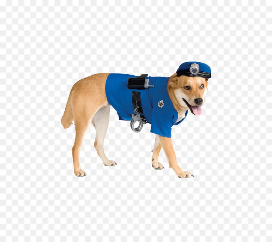 Perro Disfrazado De Policía，Policía PNG