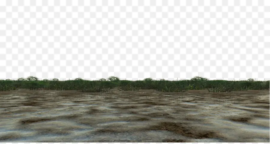 Pantano，Suelo PNG