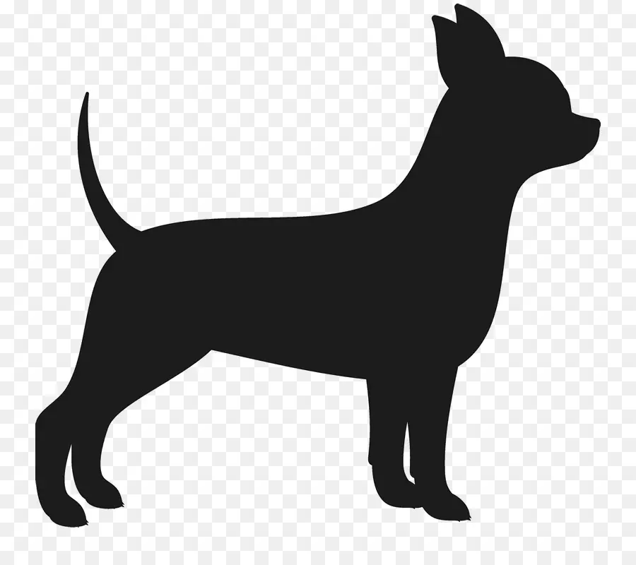 Chihuahua，El Cairn Terrier PNG