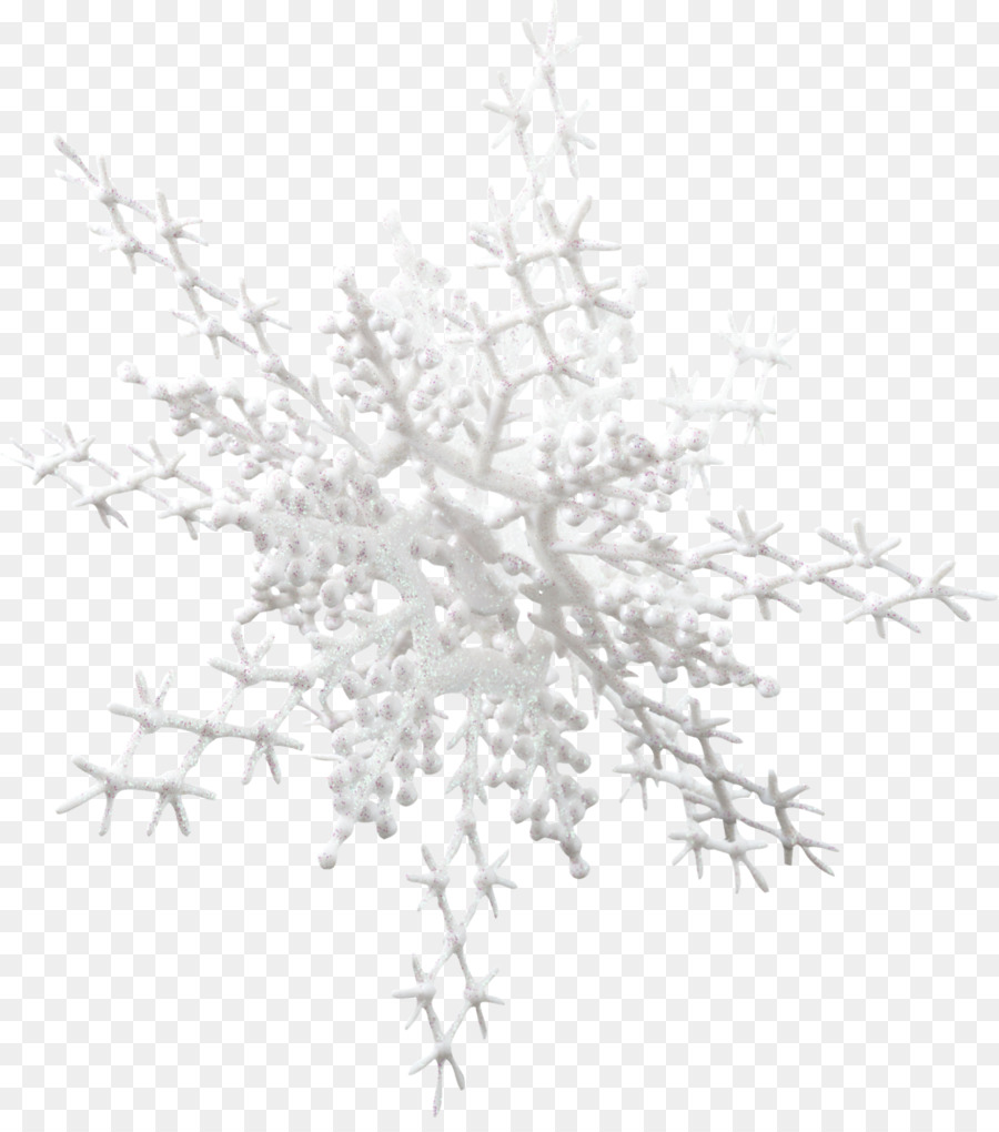 Copo De Nieve，La Navidad PNG