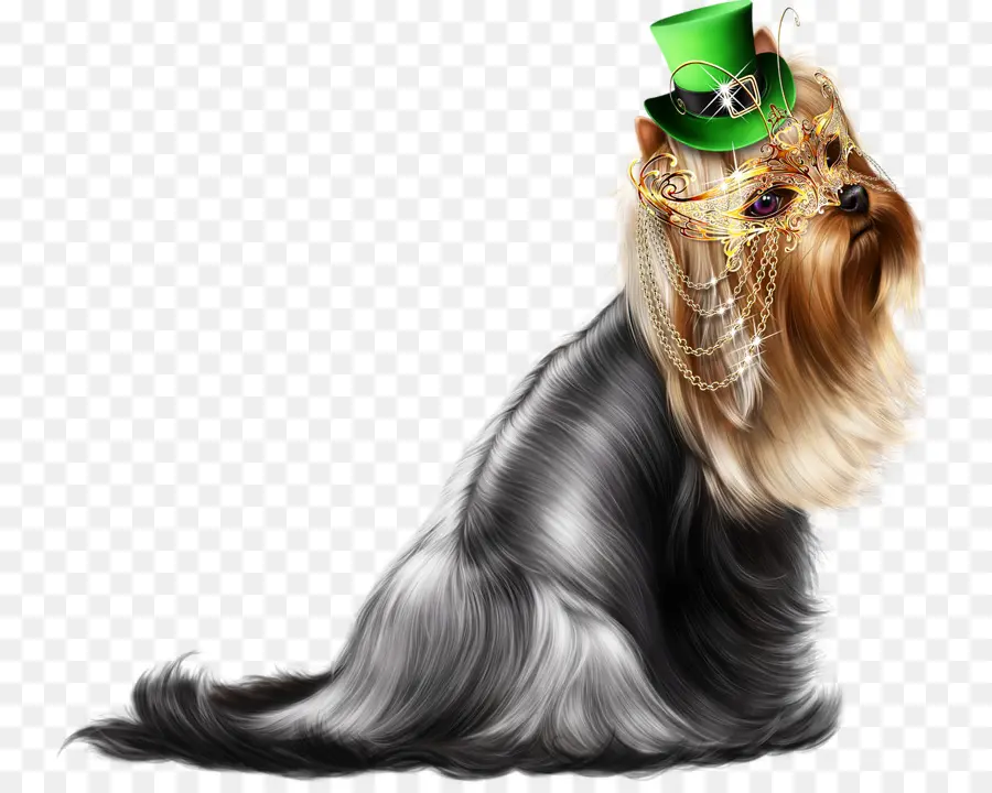 Perro，Sombrero PNG