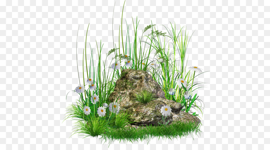 Plantas Verdes，Hojas PNG