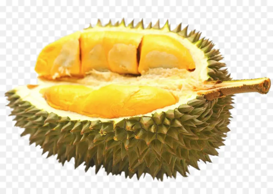 Durio Zibethinus，Durian Panqueque PNG
