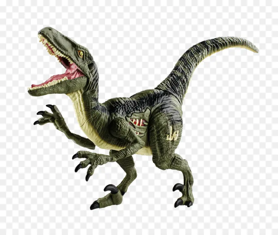 Velociraptor，Tyrannosaurus PNG