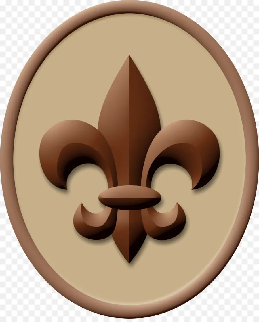 Boy Scout Handbook，Los Boy Scouts De América PNG