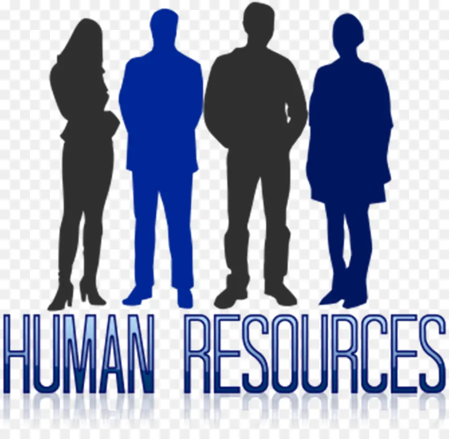 Recursos Humanos，Gente PNG