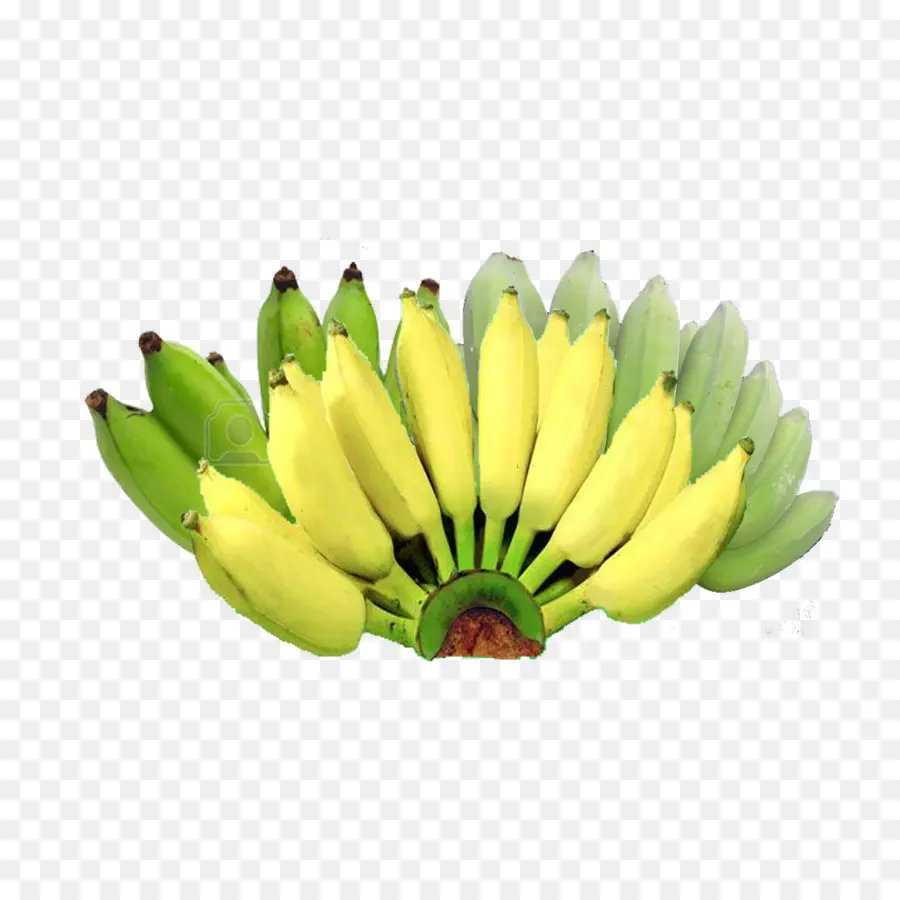 Plátanos Verdes，Banana PNG