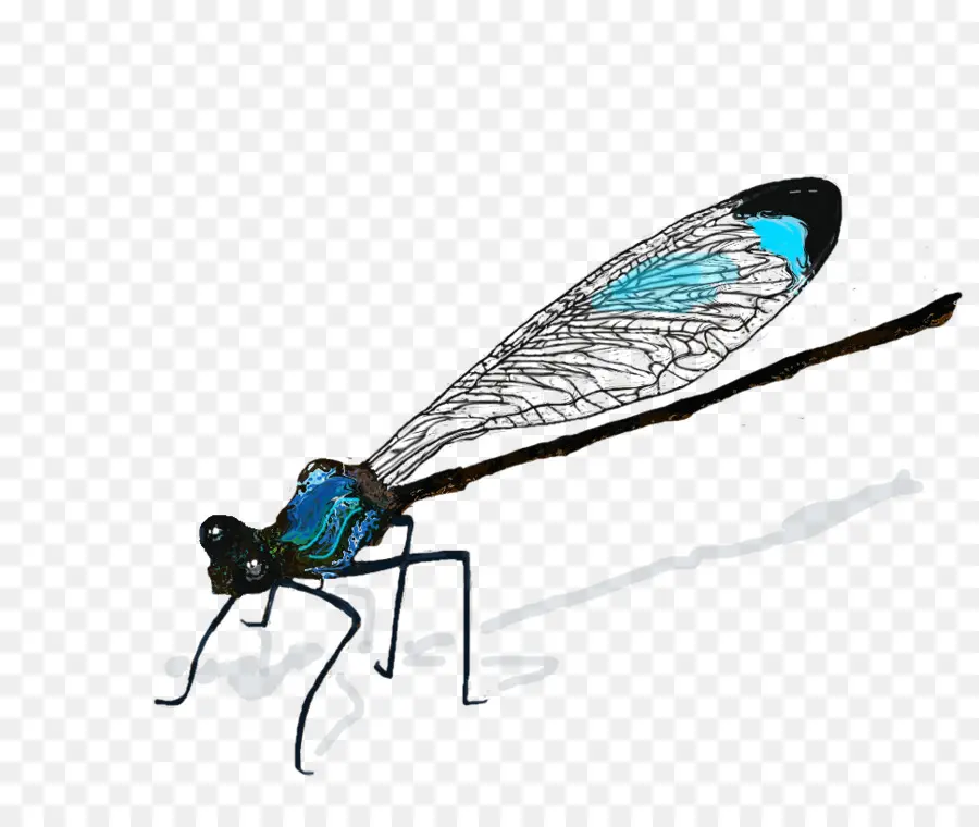 Los Insectos，Libélula PNG