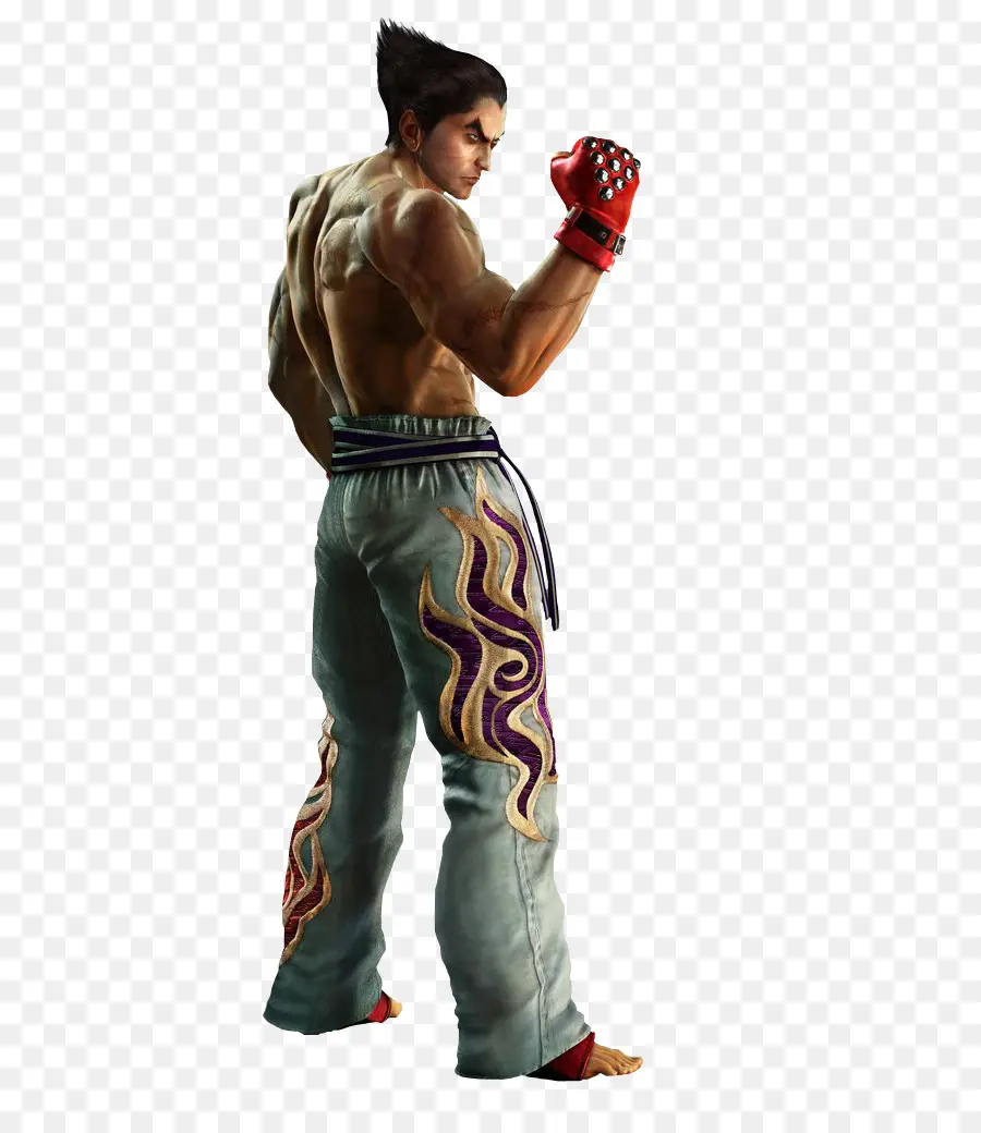 Tekken，Tekken 5 PNG