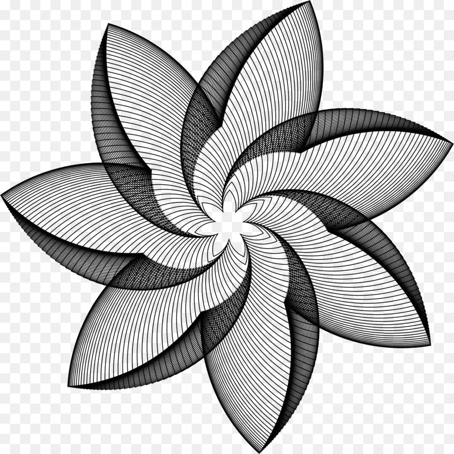 Flor Blanca Y Negra，Negro PNG