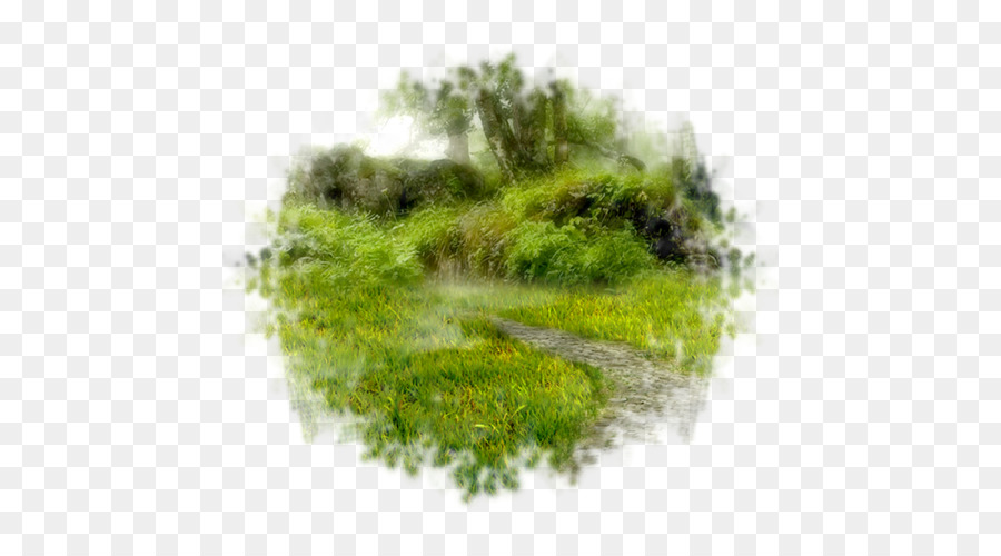 Paisaje Verde，Naturaleza PNG