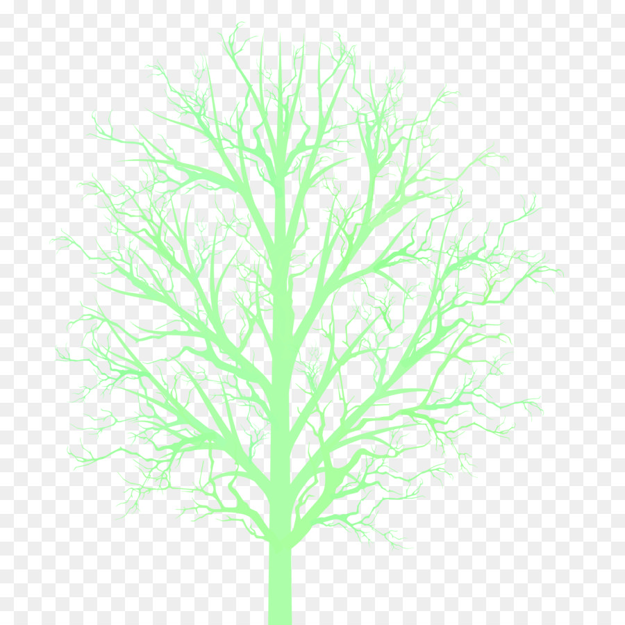 árbol Desnudo，Invierno PNG