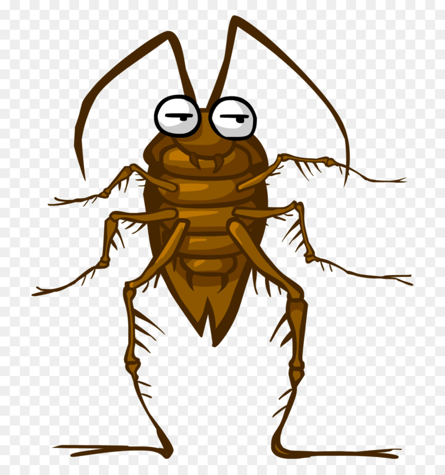 Cucaracha，La Leche PNG