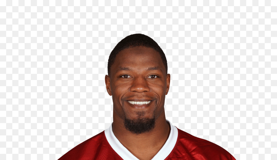 David Johnson，Temporada De La Nfl 2017 PNG